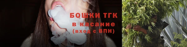 спайс Бородино