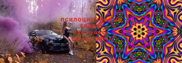 гидра Бронницы