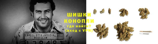 гидра Бронницы