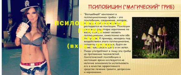 кокс Богданович