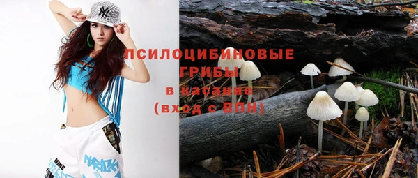 синтетический гашиш Богородицк