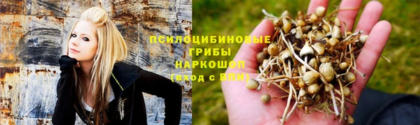 прущая мука Богородск