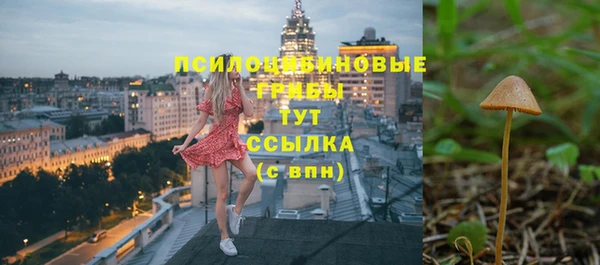прущая мука Богородск