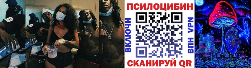 Псилоцибиновые грибы мухоморы  где найти наркотики  Вязники 